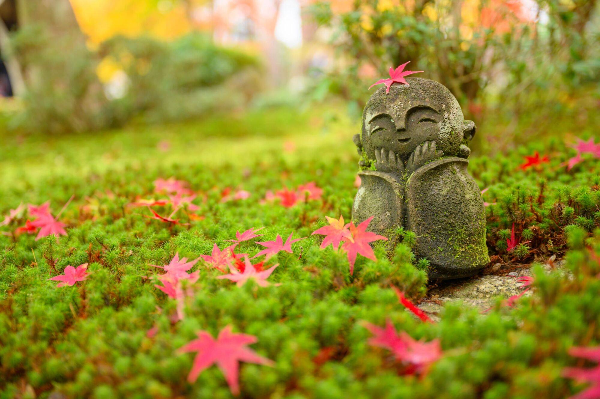 Quels sont les avantages d&#8217;un jardin zen ? Colmar